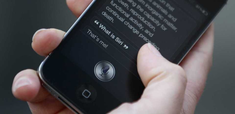 photo credit: newsweek.com